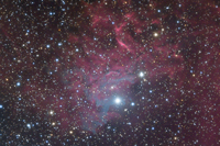 Flamingstar Nebula