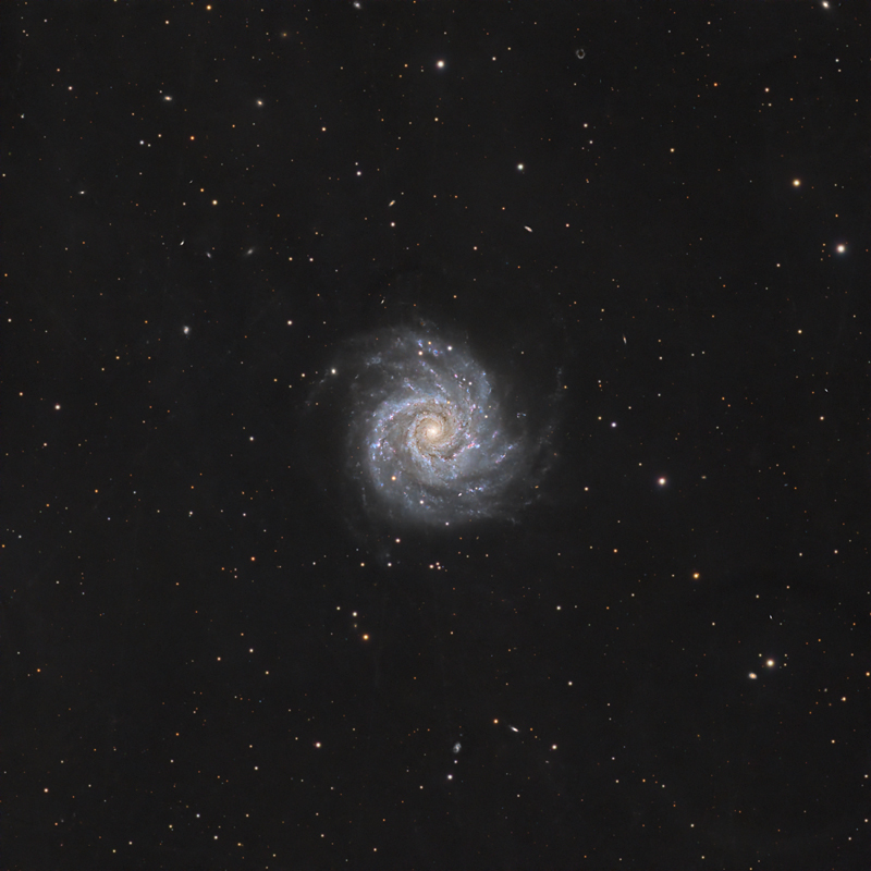 M74